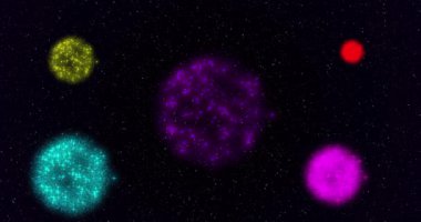 Merhaba, 2024 - neon renkli neon renkli animasyon pembe havai fişekler 4K 'da. Merhaba, 2024 - neon renkli havai fişeklerle canlandırılmış.