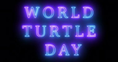 4K Dünya Kaplumbağa Günü havalı neon renkli animasyon metni. Neon renkli Dünya Kaplumbağa Günü metni, afiş için parlayan bir neon, sosyal medya duvar kağıdı hikayeleri. Teknoloji video materyali animasyonu.