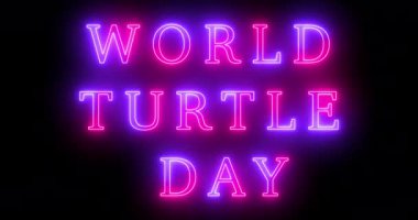 4K Dünya Kaplumbağa Günü havalı neon renkli animasyon metni. Neon renkli Dünya Kaplumbağa Günü metni, afiş için parlayan bir neon, sosyal medya duvar kağıdı hikayeleri. Teknoloji video materyali animasyonu.