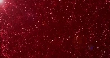 4K parçacıkları yukarı doğru uçuyor. Toz ışığı parçacıkları uçuşuyor. Ödül için soyut parçacık, lüks, su, kutlama, yeni yıl. Kutlama için soyut parlak parlak partiküller..