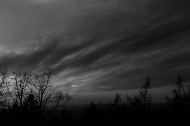 Çek doğasında rüzgarlı kış günbatımı - siyah ve beyaz versiyonu