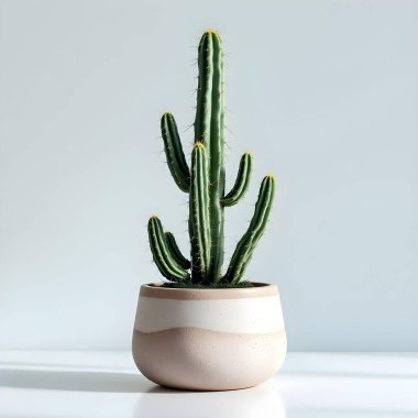 Minimalist beyaz bir arka planda tencerede izole edilmiş bitki çiçeği.