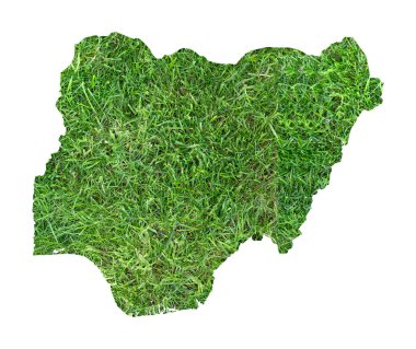 Nijerya haritası ülkeyi çim futbol sahası olarak gösteriyor..