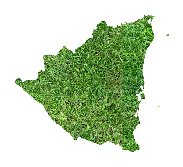 Nikaragua haritası ülkeyi bir çim futbol sahası olarak gösteriyor..