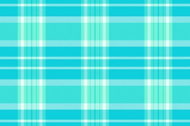 Canlı turkuaz ve naneli ekose desenli. Tekstil tasarımları, web sitesi geçmişi ya da neşeli markalar için mükemmel. Bu pürüzsüz doku tazeliği ve yazı çağrıştırıyor..