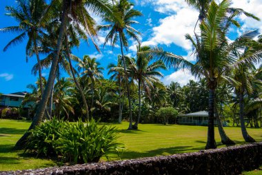 Maui Hawaii 'de Hana Yolu üzerindeki Huzur Evi