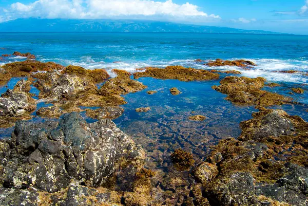Maui, Hawaii 'deki Rocky Tide Havuz Kıyısı