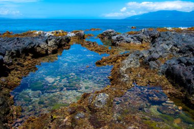 Tide Pools in Lava Shoreline, Maui, Hawaii clipart