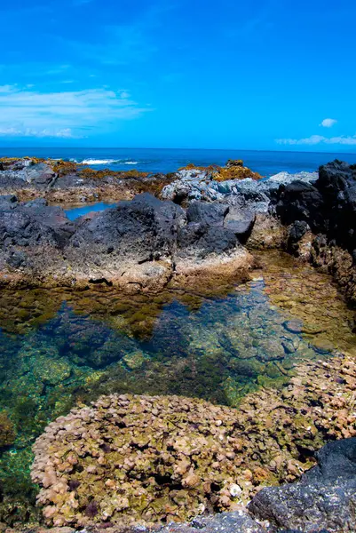 Hawaii kıyısı gelgitleri - Maui