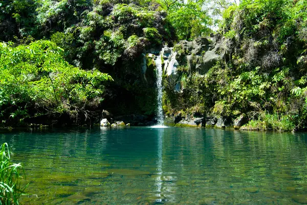 Maui Hawaii, Hana yolunun yakınındaki su havuzuna şelale.