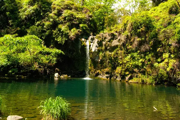 Hana, Maui Hawaii 'ye giden yolun sonundaki su havuzuna şelale.