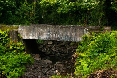 Old Bridge on the Road To Hana, Maui, Hawaii clipart