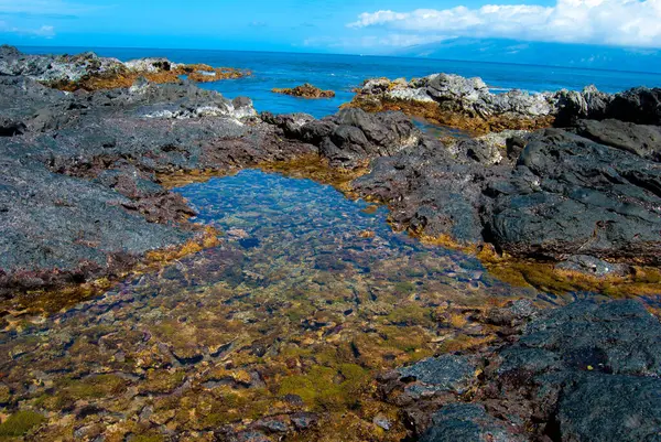 Hawaii Gelgit Havuzları, Maui Sahili
