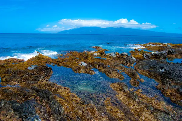 Maui, Hawaii kıyısında gel-git havuzları
