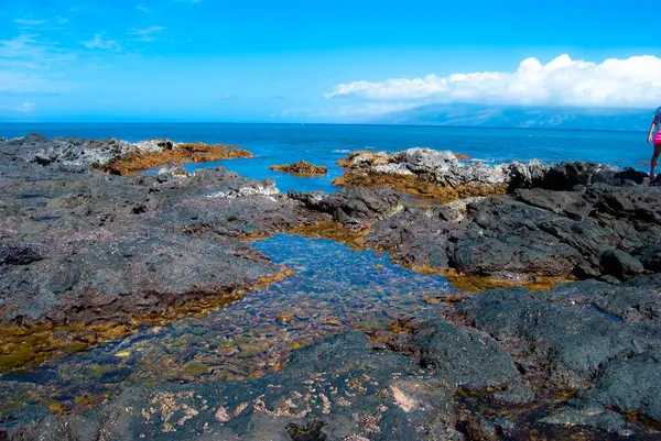 Maui Shoreline Tidepools, Hawaii - Rocky Coast