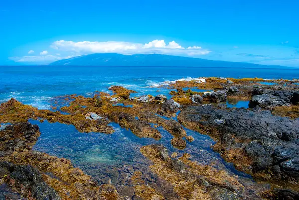 Hawaii kıyısı gelgitleri - Maui