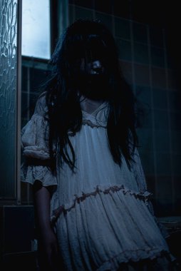 Terk edilmiş bir otelin tuvaletinde dargınlıkla ölen genç bir kadının ruhu..