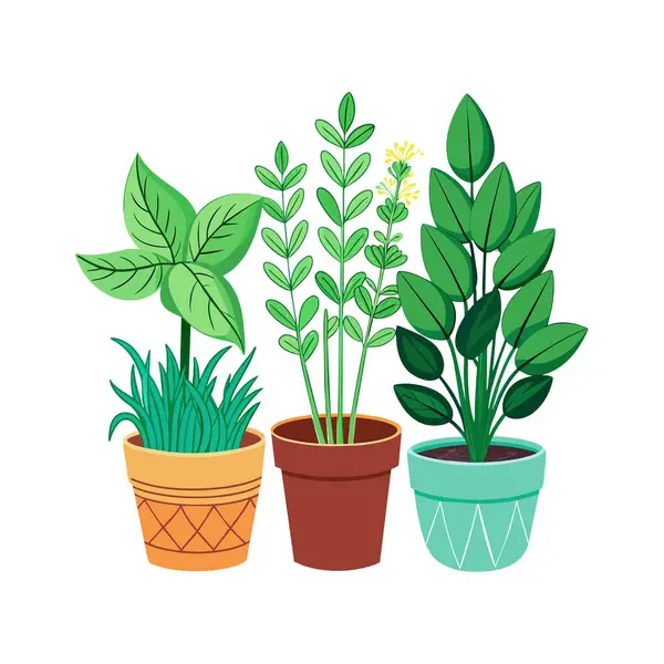 Plant clipart Vector Images | Depositphotos