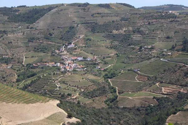 Vallee du Douro Portekiz