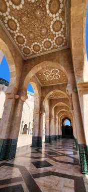 Sivrisinek Hassan-II Kazablanka Maroc