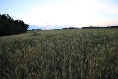 Alma Lac saint-Jean quebec canada