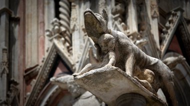 Milan, İtalya 'nın eski bir kasabasında bir kurt heykelinin kafasının yakın çekimi.