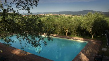 Mavi gökyüzünün altında yeşilliklerle çevrili bir havuz manzarası