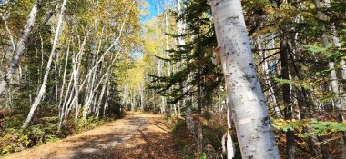 Piste takılabilir lac-st-jean Quebec Kanada