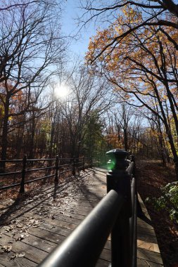 Ağaçlar ve yapraklarla dolu sonbahar manzarası