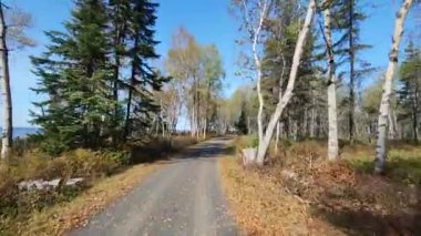 Forest Piste giden yol. Bisiklet, lac-st-Jean Quebec Kanada.