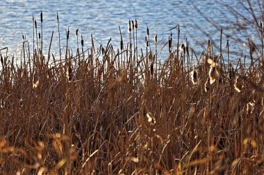 Riviere aux Samurles Jonquiere Quebec Kanada
