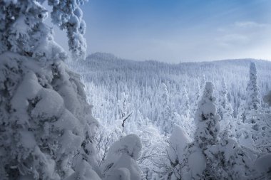 Kanada 'da karla kaplı Saguenay Mont-Valin kışı manzarası