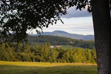 Norveç 'in güzel yaz manzarası