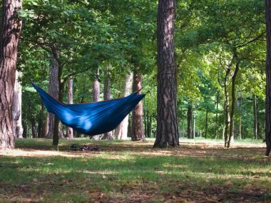 Park, yaz öğleden sonra, insanlar hamaklarda takılıyor.