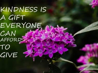 İlham verici bir alıntı, nezaket herkesin verebileceği bir hediyedir. Mavi ve mor çiçekli. Doğayla iç içe aşk ve nezaket kavramı. Mor çiçekler..