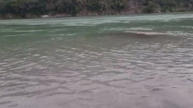Yazın erken saatlerinde Rishikesh 'deki Ganga Nehri' nin su akışının yakın görüntüsü.