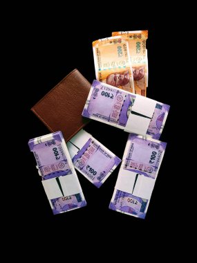 Hindistan Rupisi 100 Para Birimi Defteri, 200 Rupi ve kahverengi cüzdan.