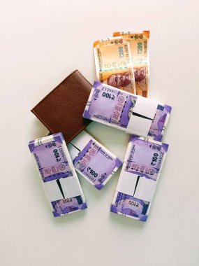 Hint Rupisi 100 Para Birimi Defteri, 200 Rupi ve kahverengi cüzdan beyaz arka planda izole edilmiş.