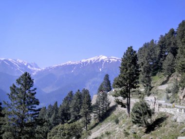 Bir yaz öğleden sonra Jammu ve Kashmir, Hindistan 'da çam ağaçlarıyla kaplı dağ manzarası ve arka planda karla kaplı dağlar.