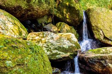 Sao Paulo 'nun kuzey kıyısındaki Ilhabela adasında yosunlu kayalar ve yağmur ormanları arasında küçük bir şelale.