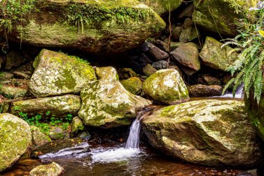 Sao Paulo 'nun kuzey kıyısındaki Ilhabela adasında yosunlu kayalar ve yağmur ormanları arasında küçük bir şelale.