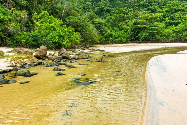 里约热内卢帕拉蒂沿海地区特林达德的一条河流 河水流过沙滩 沿着森林流向大海 — 图库照片