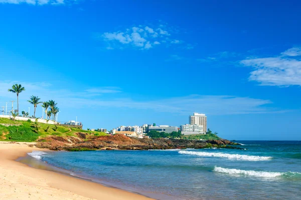 Trpělivá Pláž Klidnými Průhlednými Vodami Slunečného Dne Městě Salvador Bahia Stock Snímky