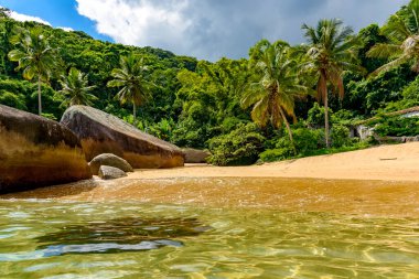 Rio de Janeiro 'nun güney kıyısındaki Ilha Grande' de yağmur ormanlarıyla çevrili güzel, ıssız ve bozulmamış bir sahil.