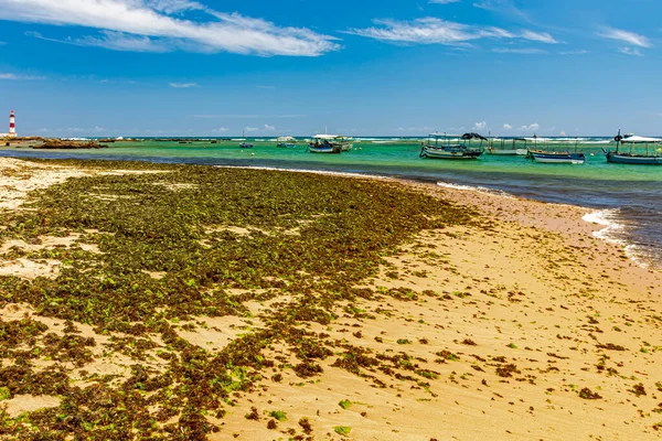 Paradisiacal Τροπική Παραλία Itapua Στην Πόλη Του Σαλβαδόρ Σκάφη Της — Φωτογραφία Αρχείου