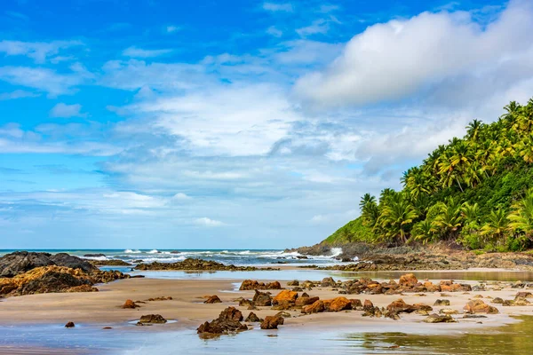 Deserted Rotsachtige Strand Genaamd Prainha Omgeven Door Kokospalmen Vegetatie Gelegen — Stockfoto