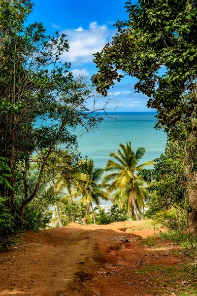 位于巴伊亚州南部海岸的Prainha是一个小海滩 四周环绕着被保护的热带雨林 — 图库照片