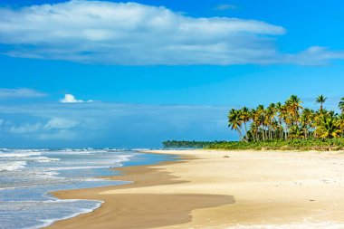 Güneşli bir yaz günü, Brezilya 'nın kuzeydoğusundaki Bahia, Serra Grande' deki Sargi 'nin cennet plajında.