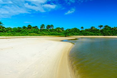 Yerli bitki örtüsünün ortasından akan nehir, Bahia, Serra Grande 'deki Sargi plajında denize doğru ilerliyor.
