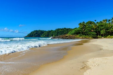Bahia kıyısındaki Tiririca plajı güneşli bir yaz gününde tropikal orman ve kayalarla çevrilidir.